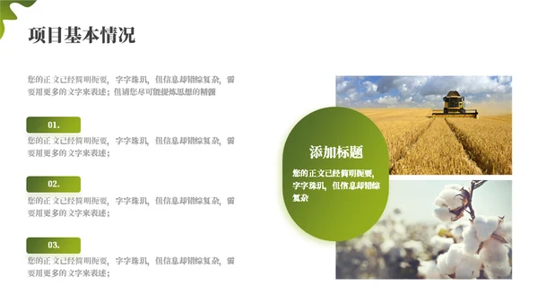 绿色乡村振兴项目工作汇报通用PPT模板