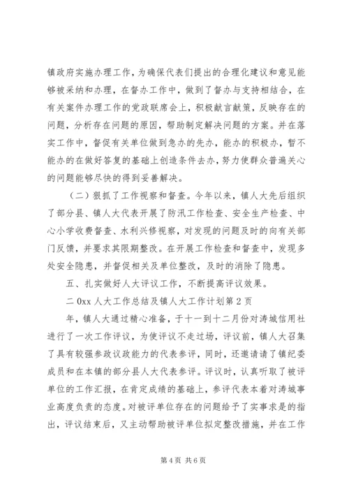 人大工作总结及镇人大工作计划.docx