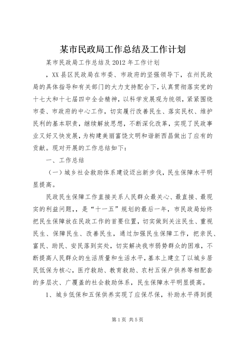 某市民政局工作总结及工作计划.docx