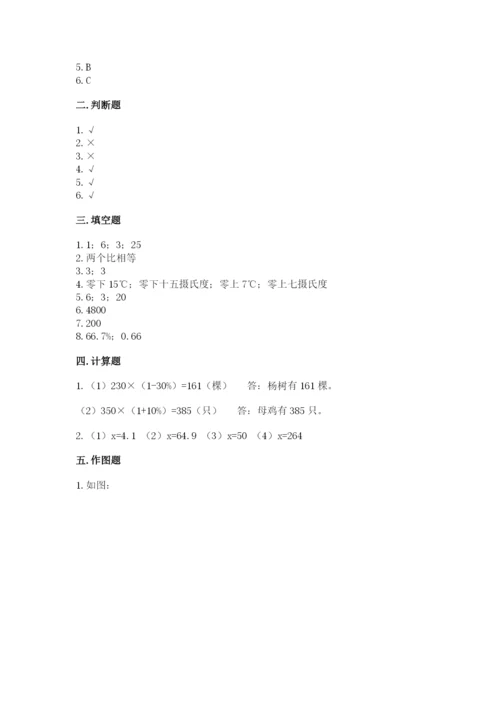 驻马店市上蔡县六年级下册数学期末测试卷精编.docx