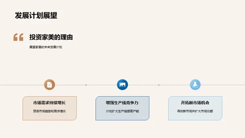 家美公司投资策略