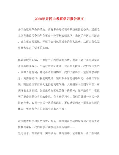 精编年井冈山考察学习报告范文.docx