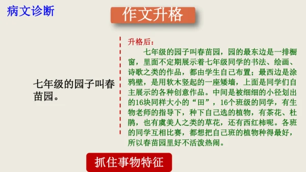 部编版八上语文第五单元写作《说明事物要抓住特征》课件