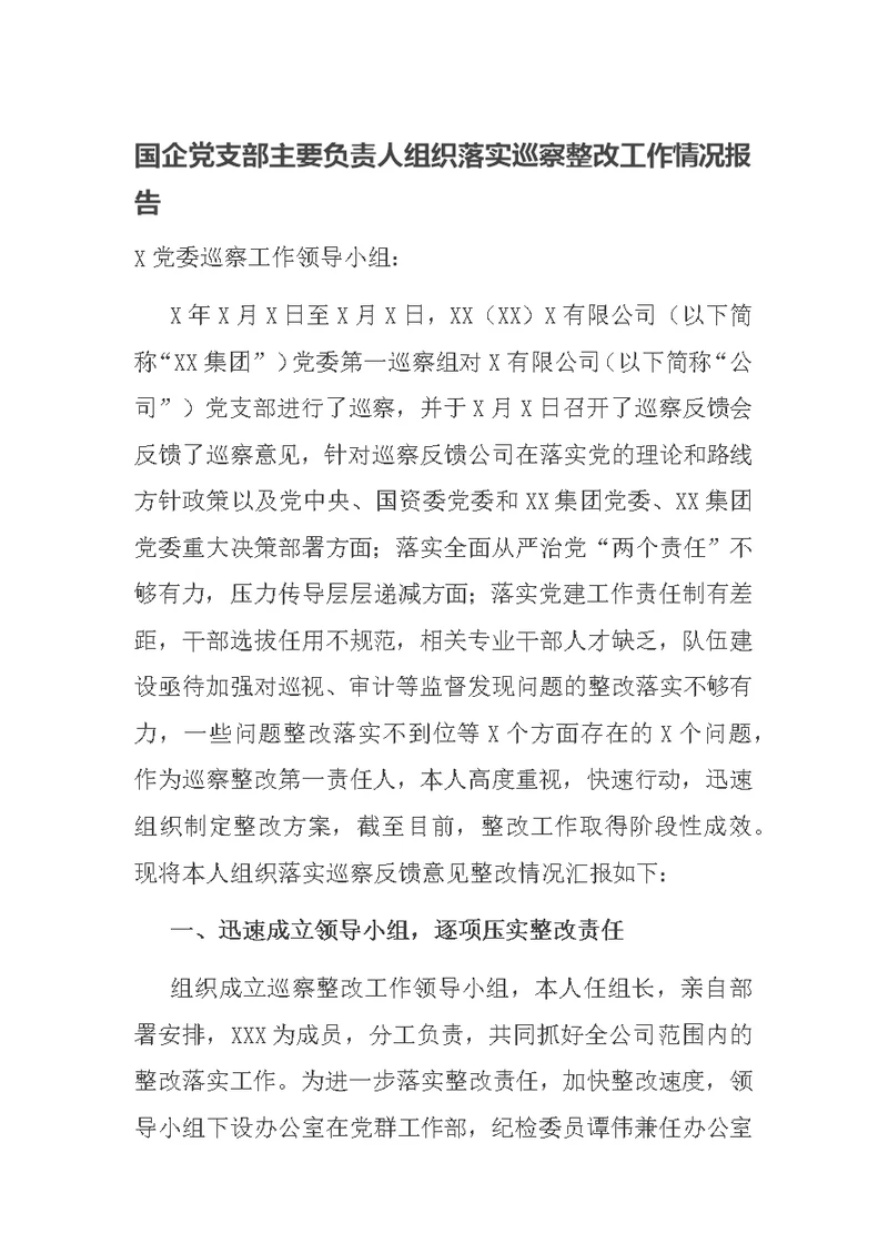 国企党支部主要负责人组织落实巡察整改工作情况报告