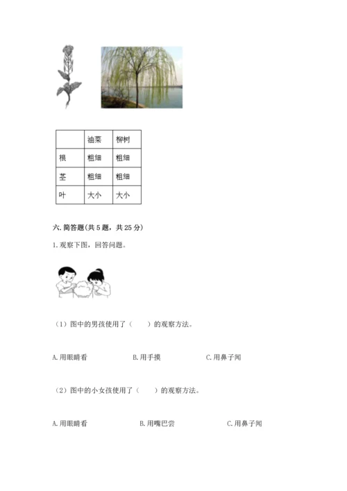 教科版科学一年级上册期末测试卷精品（综合题）.docx