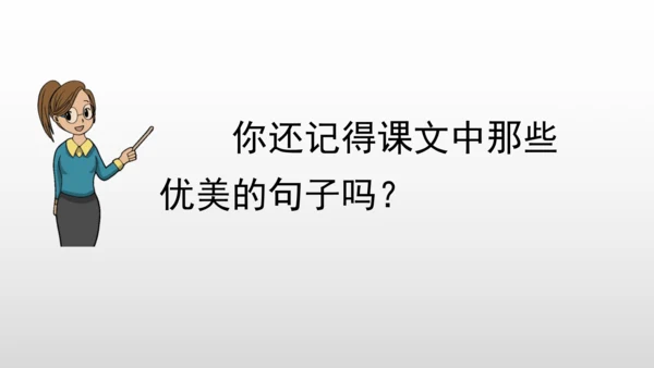 部编版语文二年级上册第二单元复习课件