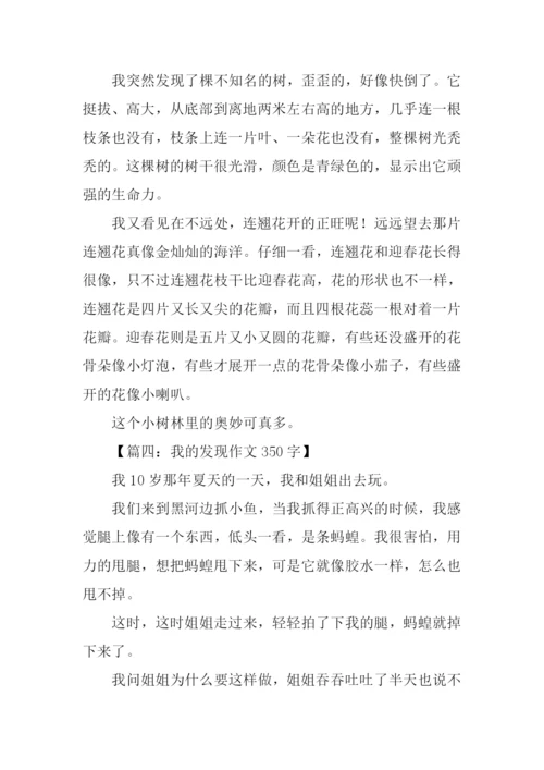 我的发现作文350字.docx