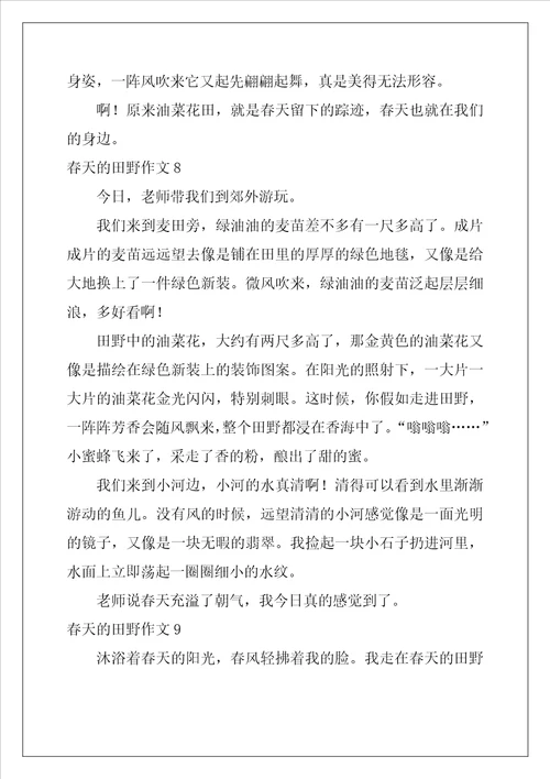 春天的田野作文12篇