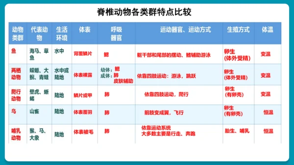 第一章动物的主要类群（复习课件）-八年级生物上册同步教学精制课件（人教版）(共25张PPT)