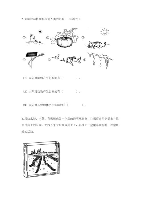 教科版二年级上册科学期末考试试卷带答案（培优b卷）.docx