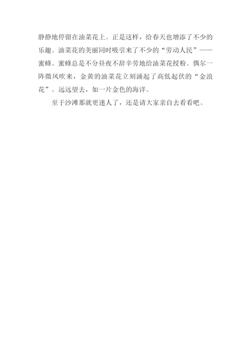 我的建议作文400字.docx