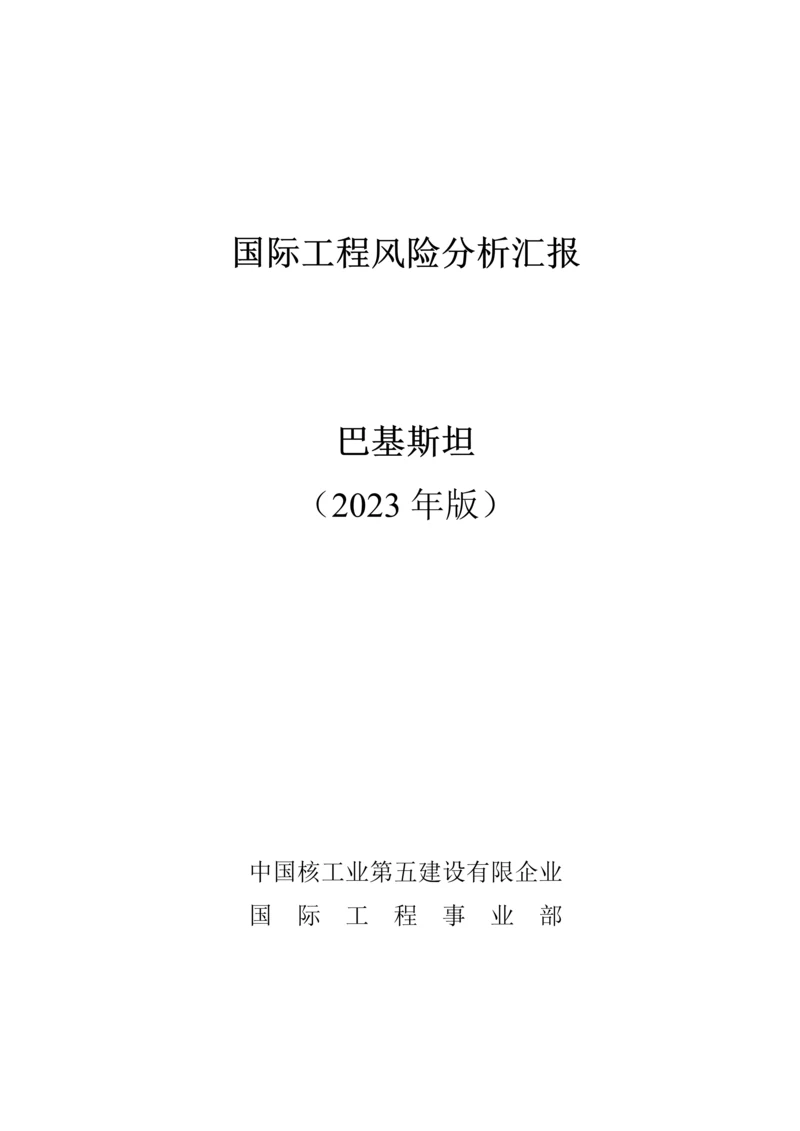 国际项目风险分析巴基斯坦.docx