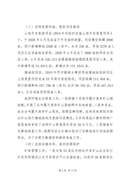 市自然资源局XX年上半年工作总结和下半年工作计划.docx