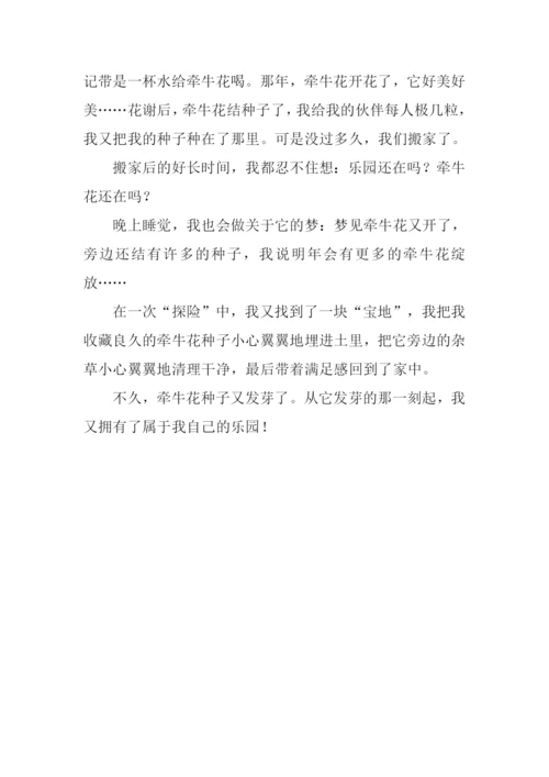 我的乐园作文450字.docx