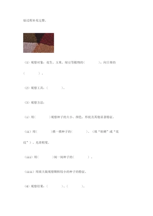 科学四年级下册第一单元《植物的生长变化》测试卷及答案【历年真题】.docx