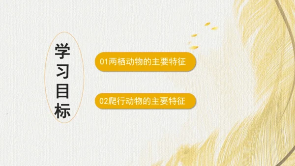 人教版 初中生物七年级上册2.2.2脊椎动物（两栖动物和爬行动物）课件(共21张PPT)+ 视频素材