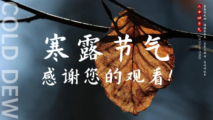 瓷青色简约风寒露节气PPT模版