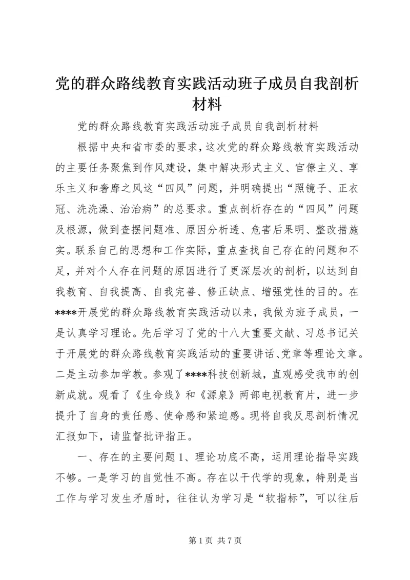 党的群众路线教育实践活动班子成员自我剖析材料.docx