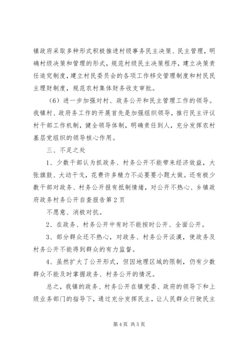 乡镇政府政务村务公开自查报告.docx