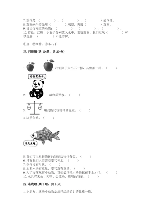 教科版一年级下册科学期末测试卷【精华版】.docx