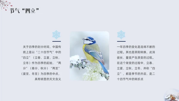 简约实拍立冬主题班会PPT课件