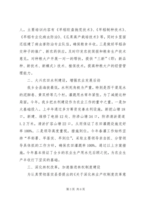 乡镇某年上半年农业农村工作总结及下半年思路.docx