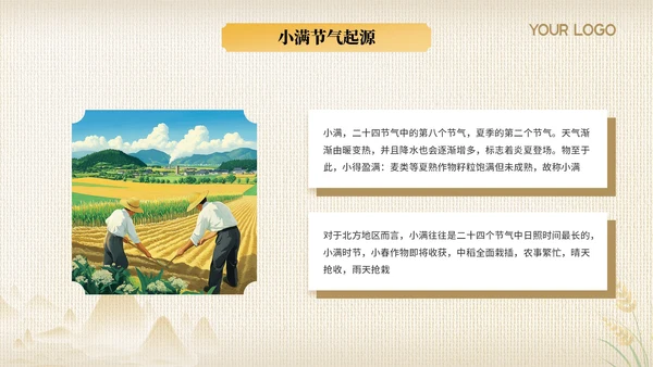黄色节气之小满PPT模版