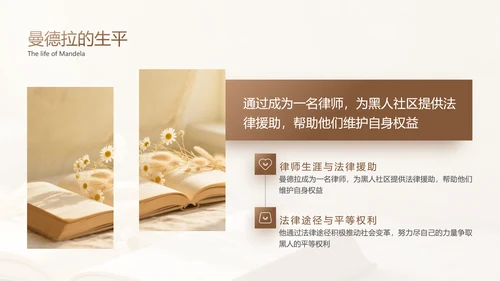 黄色简约风人物事迹介绍PPT