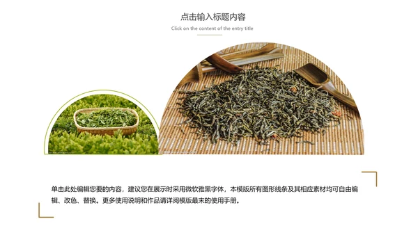 绿茶产品介绍茶叶茶文化春茶动态PPT模板
