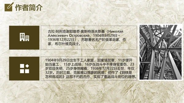 钢铁是怎么炼成的读后感通用PPT课件