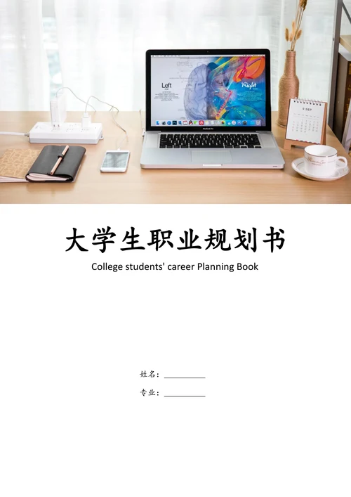 大学生职业生涯规划书标准范本