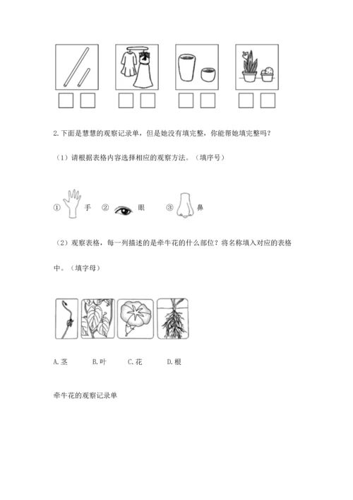 教科版科学一年级上册期末测试卷附答案【突破训练】.docx