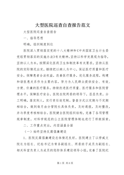 大型医院巡查自查报告范文.docx