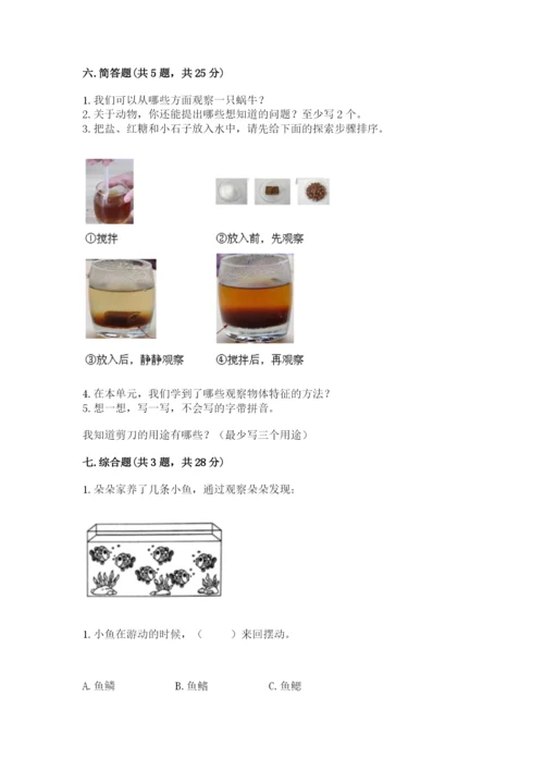 教科版小学科学一年级下册期末测试卷【word】.docx