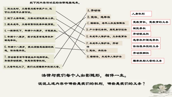 第4单元第9课第1课时  生活需要法律 教学课件 -统编版中学道德与法治七年级（下）
