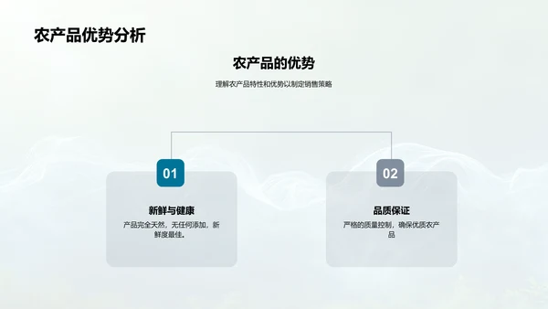 双十一农产品销售策略PPT模板