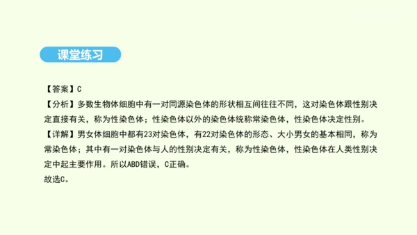 7.2.4人的性别遗传课件-人教版生物八年级下册(共31张PPT)