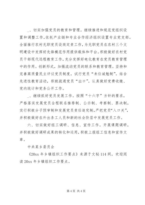 乡镇组织工作要点.docx