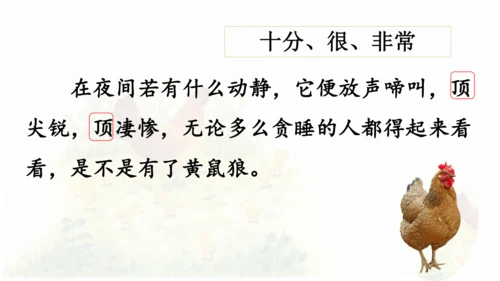 母鸡 第五稿