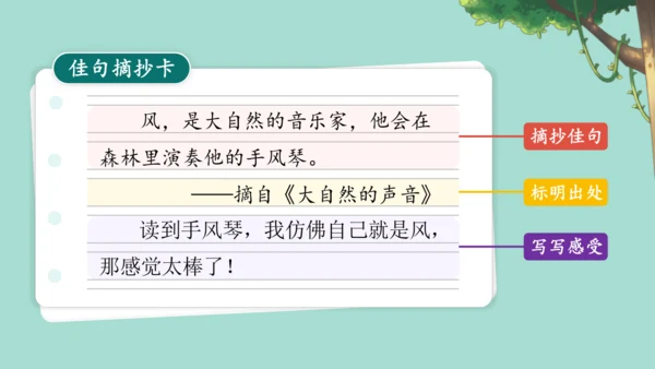 21.《大自然的声音》 课件（2课时）