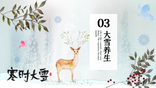 寒时大雪时节通用PPT模板