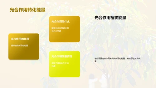 商务风教育培训教学课件PPT模板