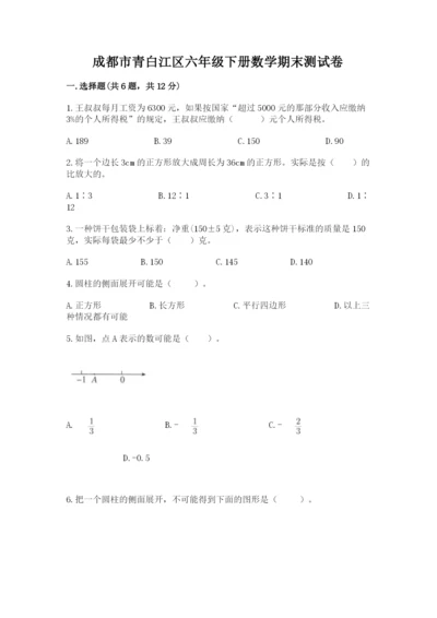 成都市青白江区六年级下册数学期末测试卷学生专用.docx