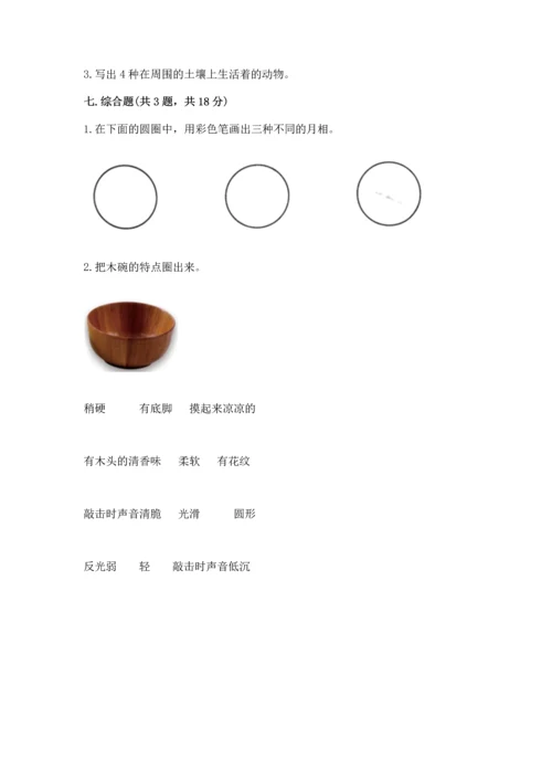 教科版科学二年级上册《期末测试卷》精品（考点梳理）.docx