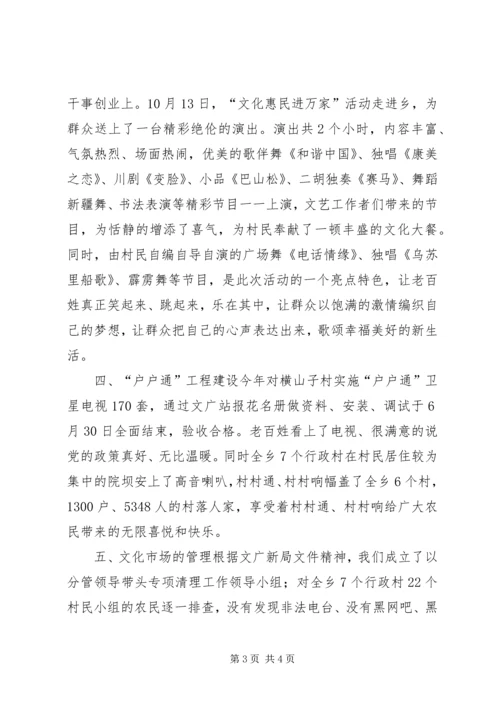 乡镇文广站年度工作总结.docx