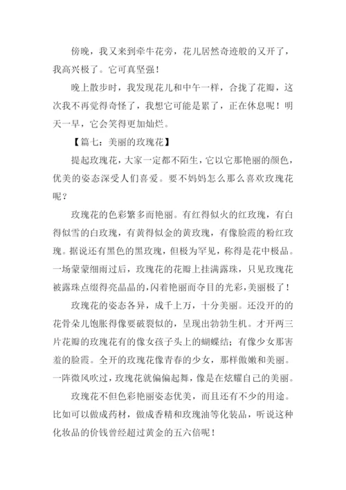 花的作文400字四年级.docx