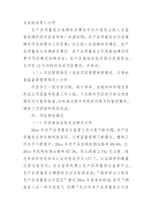 部门绩效运行监控报告.docx