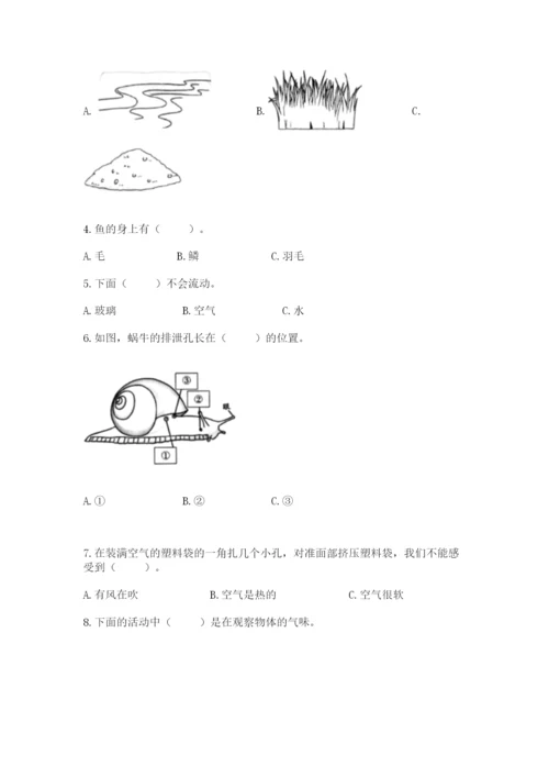 教科版一年级下册科学期末测试卷精品（完整版）.docx