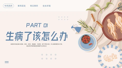 蓝色简约神奇中药草PPT模板宣传PPT动态PPT中医药