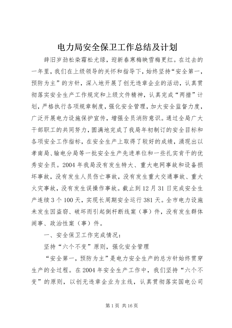 电力局安全保卫工作总结及计划.docx